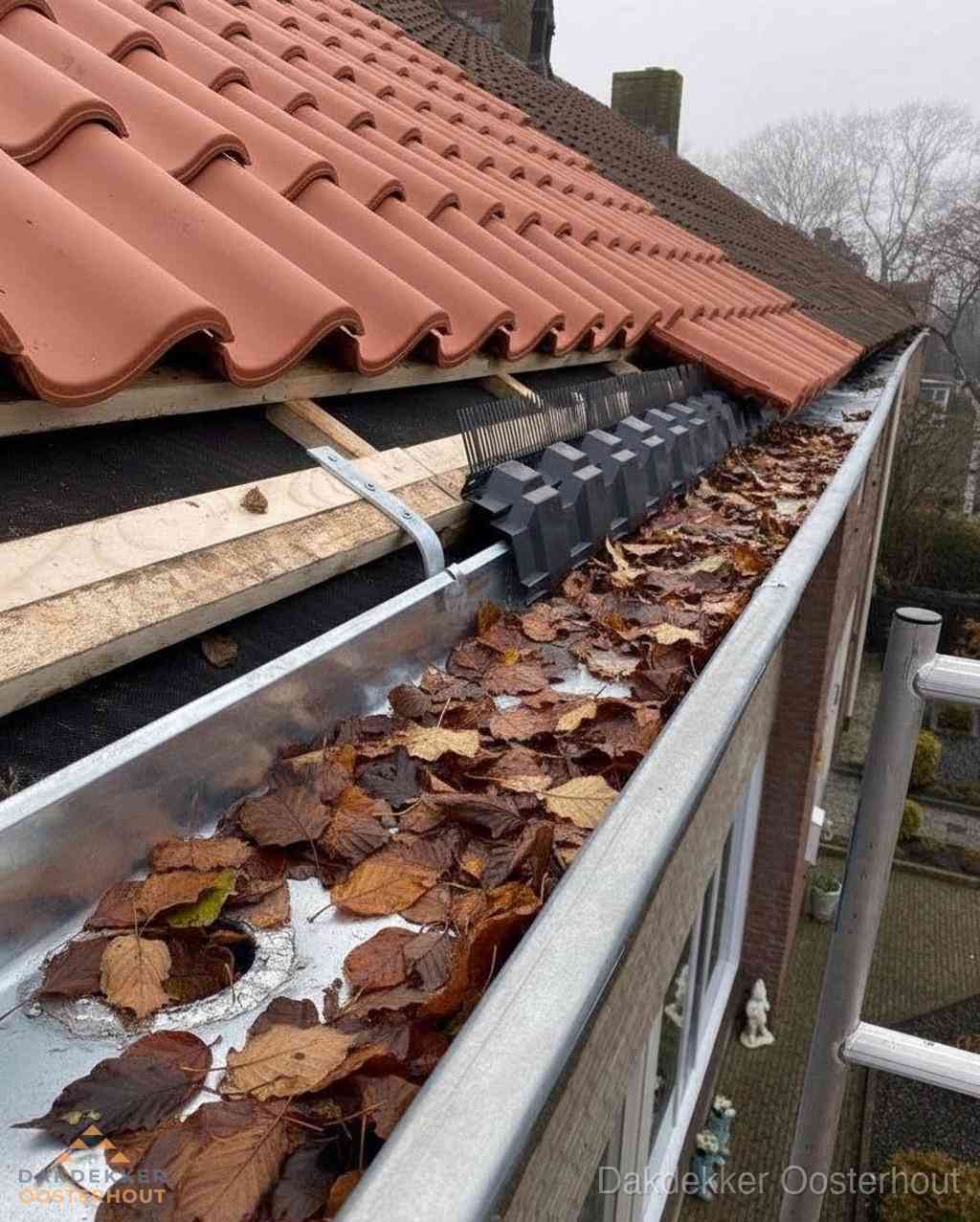 Dakgoten Reinigen Dakdekker Oosterhout Dakgoten Reinigen Dakdekker Oosterhout