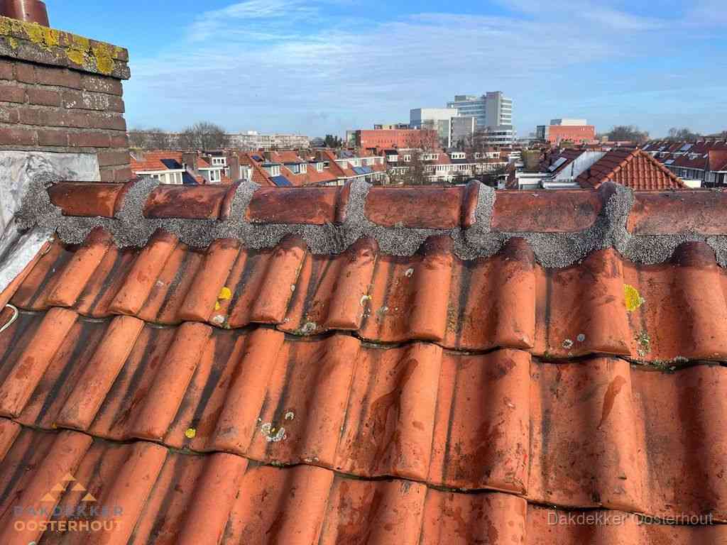 Oosterhout Daken Renoveren Oosterhout Daken Renoveren
